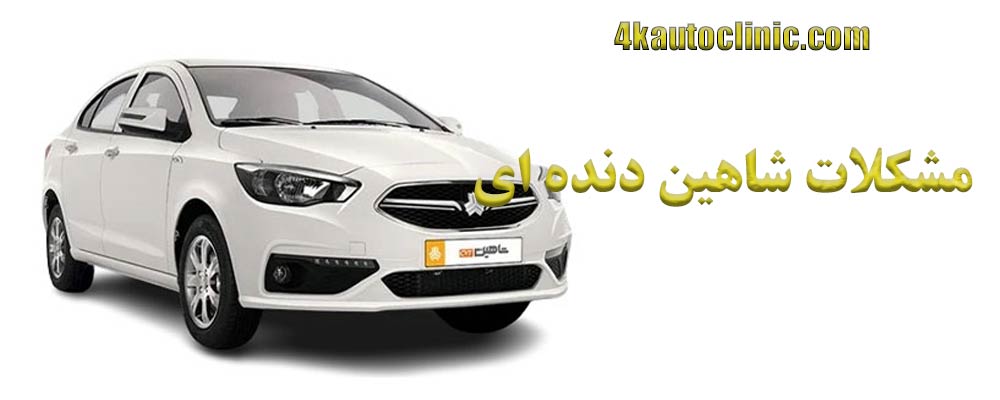 مشکلات شاهین دنده ای